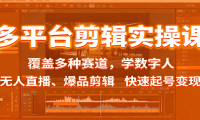 多平台剪辑实操课：覆盖多种赛道，学数字人、无人直播、爆品剪辑，快速起号