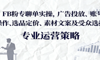 FB粉专聊单实操，广告投放、账号操作、选品定价、素材文案及受众选择