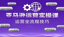 亚马逊运营实操课，选品策略，选品重点、广告最新打法、大促细节优化等（更