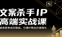 文案杀手IP高端实战课：破高客单成交壁垒，引爆IP商业价值增长