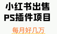 小红书出售PS插件项目，每月都收入好几万，长期操作已获利300多W+