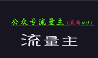 公众号流量全网最新玩法核心，系统讲解各种先进玩法和稳定收益的方法