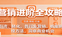 营销进阶全攻略，引流、转化，各行业营销，析案例，授方法，洞察商业机会