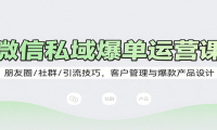 微信私域爆单运营课：朋友圈/社群/引流技巧，客户管理与爆款产品设计