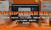 小红书IP运营高阶变现课：账号包装，对标分析，plog/vlog脚本，数据分析，