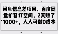 闲鱼信息差项目，百度网盘扩容1T空间，2天赚了1000+，人人可做0成本