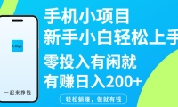 手机小项目新手小白轻松上手零投入有闲就有赚日入200+