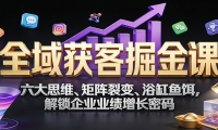 全域获客掘金课：六大思维、矩阵裂变、浴缸鱼饵，解锁企业业绩增长密码