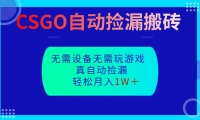 CSGO自动捡漏搬砖，当天操作当天见结果，无需了解游戏，包教包会包落地