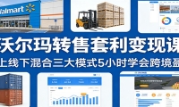 沃尔玛转售套利变现课：线上线下混合三大模式5小时学会跨境盈利