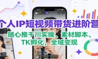个人IP短视频带货进阶营：随心推千川实操、素材脚本、TK孵化，全域变现