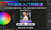 PR调色入门到精通：从色彩理论到案例实操，婚礼/医美/美食多场景调色技巧