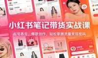小红书笔记带货实战课：起号养号，爆款创作，轻松掌握流量变现密码