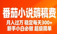 番茄小说赚稿费稳定300+每天，实操落地两年，新手小白必做，超级简单！