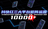抖快红三大平台矩阵运营，12小时SOP实战+流量获取-风控-扩量，月引10000+线