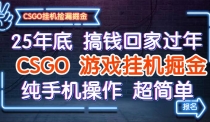 25年底搞钱回家过年，CSGO游戏挂机掘金，纯手机操作超简单
