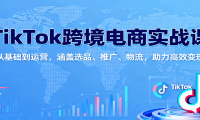TikTok跨境电商实战课：从基础到运营，涵盖选品、推广、物流，助力高效变现