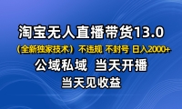 淘宝无人直播13.0，公域私域技术，不封号，不违规 布局下半年旺季赛道，日