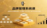 品牌管理系统课：战略定位与消费者洞察，DTC案例、资产评估，增长与公关体