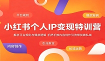 小红书个人IP变现特训营：解析平台规则与爆款逻辑，手把手教内容创作引流带