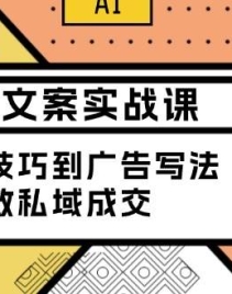 朋友圈文案实战课：从聊天技巧到广告写法，打造高效私域成交