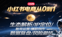 小红书电商从0到1：生态解析/IP定位/ 账号运营/爆款创作/直播带货/数据复盘