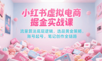 小红书虚拟电商掘金实战课，流量算法底层逻辑，选品黄金策略， 起号，笔记