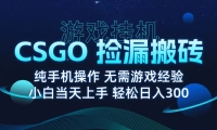 9月最新游戏搬砖，CSGO纯挂机，不需要玩游戏，实现真挂机，月入1W+