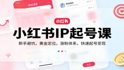 小红书IP起号课：新手避坑，黄金定位，涨粉体系，快速起号变现