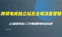 跨境电商独立站及全域流量营销，从0基础快速入门并精通跨境电商运营