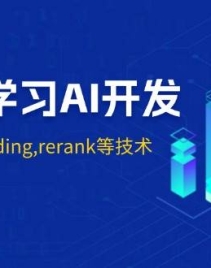 从0到1学习AI开发：涵盖RAG,embedding,rerank等技术，助力行业落地