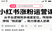 小红书涨粉运营课：从平台逻辑到多维度定位，传授挣钱 “核武器”，助力普
