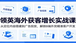领英海外获客增长实战课：从定位内容搭建到广告投放，解锁B端外贸精准客户