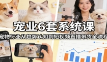 宠业6套系统课：宠物行业从趋势认知到短视频直播带货全流程