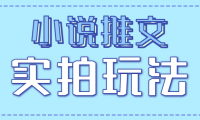 小说推文实拍玩法，零成本零门槛10元/单，轻松月收益万元