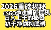 2026开年重磅解密，CSGO游戏搬砖挂机日入上千的秘密，把倒狗的底裤扒干