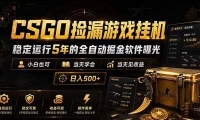 CSGO捡漏游戏挂机，稳定运行5年的全自动掘金软件曝光，当天见收益，日入500