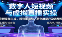 数字人短视频与虚拟直播实操，音频提取生成，背景添加，原创度提升及违规规