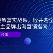 2025跨境致富实战课，收并购全流程拆解，自主品牌出海营销指南