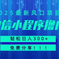 微信小程序撸广，最新风口项目，日入300+ 免费分享 可批量操作 小白可轻松