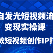 IP自发光短视频流量变现实操课，爆款短视频创作IP打造