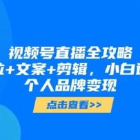视频号直播全攻略，定位+文案+剪辑，小白逆袭个人品牌变现