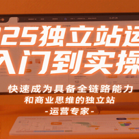 2025独立站运营入门到实操，快速成为具备全链路能力和商业思维的独立站运营