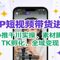 个人IP短视频带货进阶营：随心推千川实操、素材脚本、TK孵化，全域变现
