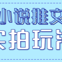 小说推文实拍玩法，零成本零门槛10元/单，轻松月收益万元
