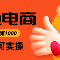 闲鱼高利润电商，当天上架当天出单，一单利润300