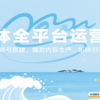 自媒体全平台运营实战，主流平台的账号搭建、爆款内容生产、矩阵引流及电商