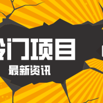 普通人容易忽略的冷门项目，仅靠一部手机，1小时复制粘贴零撸50+