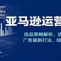亚马逊运营实操，选品策略解析，选品重点方法、广告最新打法、综合运营技巧