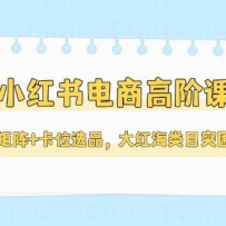 小红书电商高阶课，多店矩阵+卡位选品，大红海类目突围指南（更新5月）
